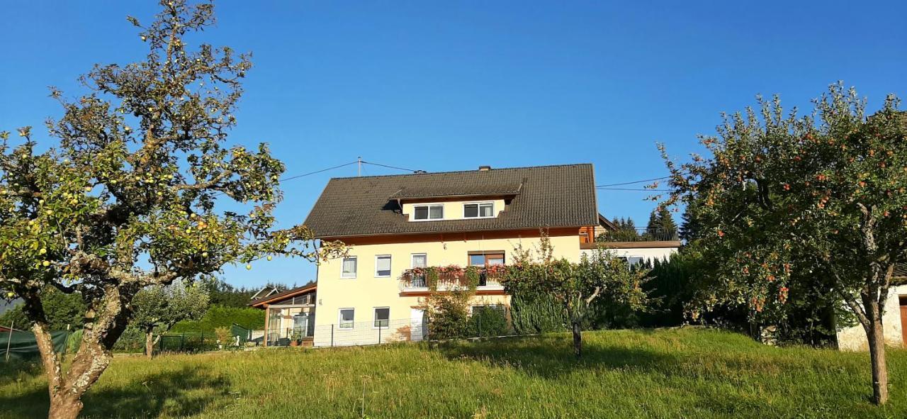 Sankt Stefan an der GailHaus Elviraアパートメント エクステリア 写真