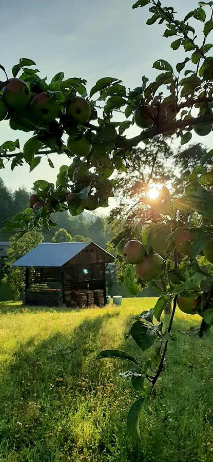 Sankt Stefan an der GailHaus Elviraアパートメント エクステリア 写真