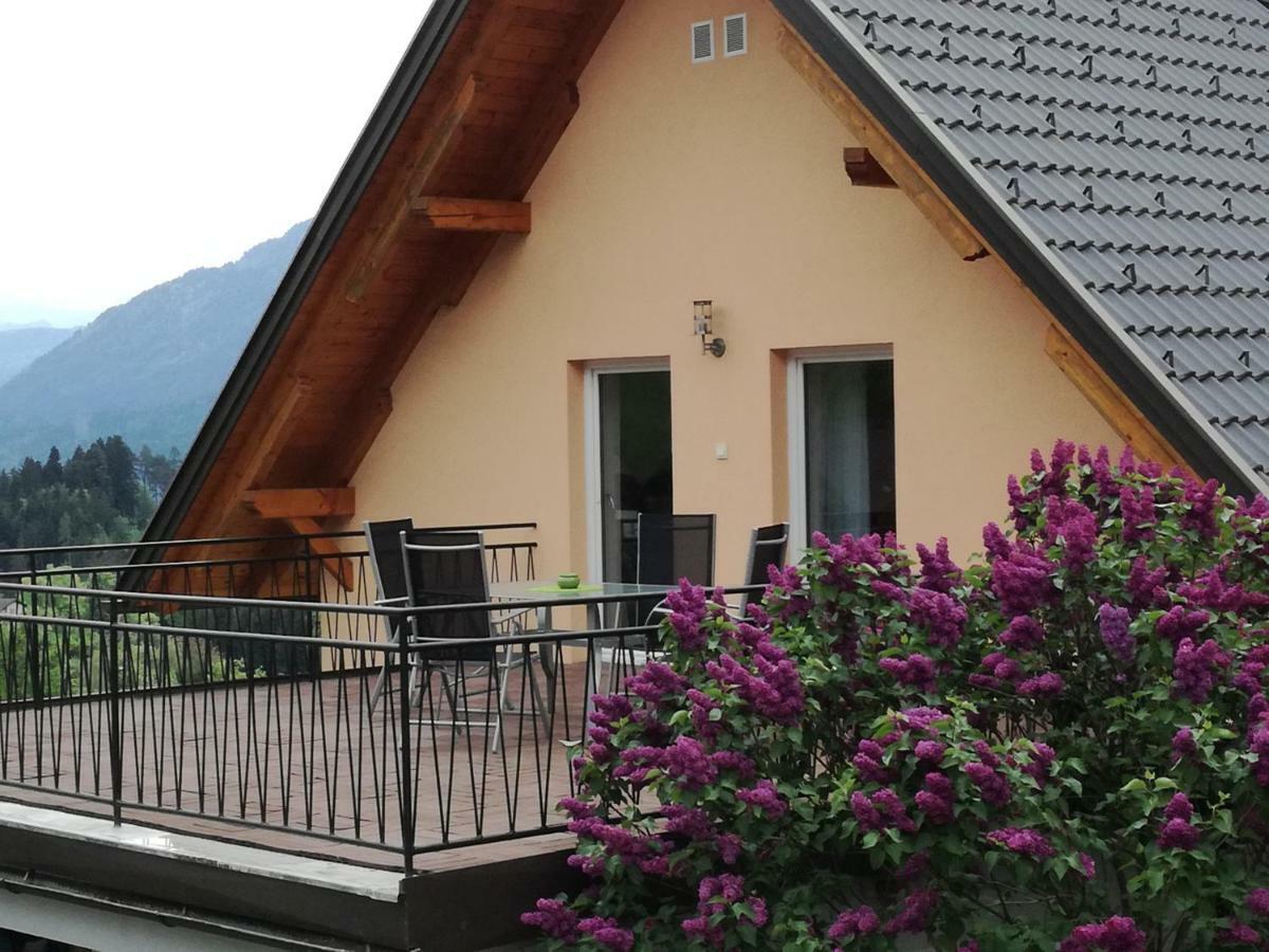 Sankt Stefan an der GailHaus Elviraアパートメント エクステリア 写真