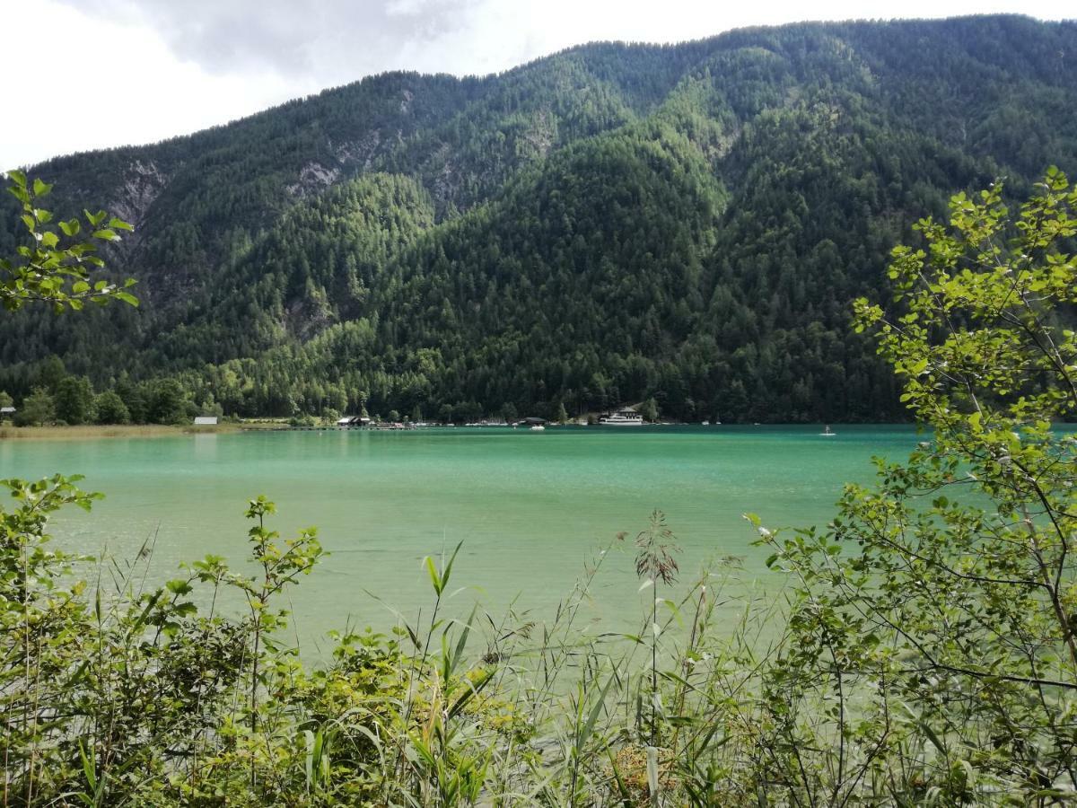 Sankt Stefan an der GailHaus Elviraアパートメント エクステリア 写真
